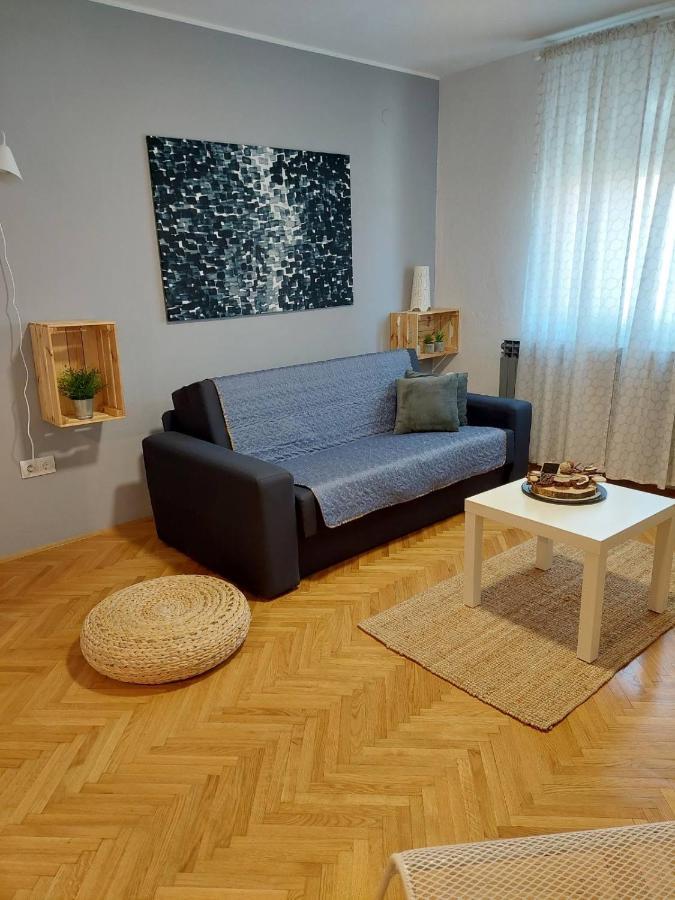 Apartman Hana Διαμέρισμα Drežnik Grad Εξωτερικό φωτογραφία