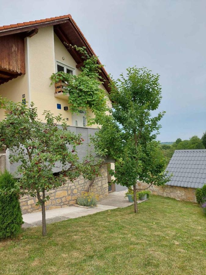 Apartman Hana Διαμέρισμα Drežnik Grad Εξωτερικό φωτογραφία